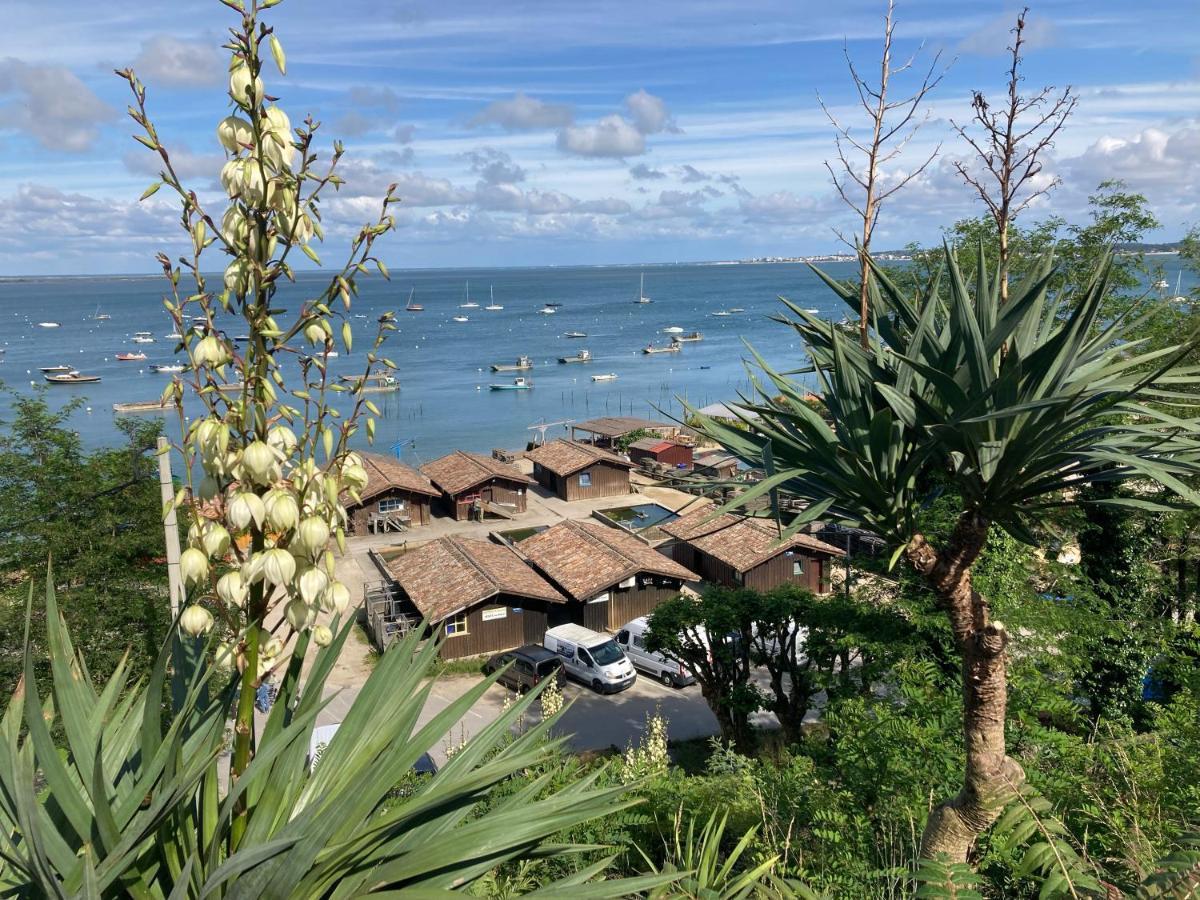 Village Seasonova Bassin D'Arcachon Audenge Exterior foto